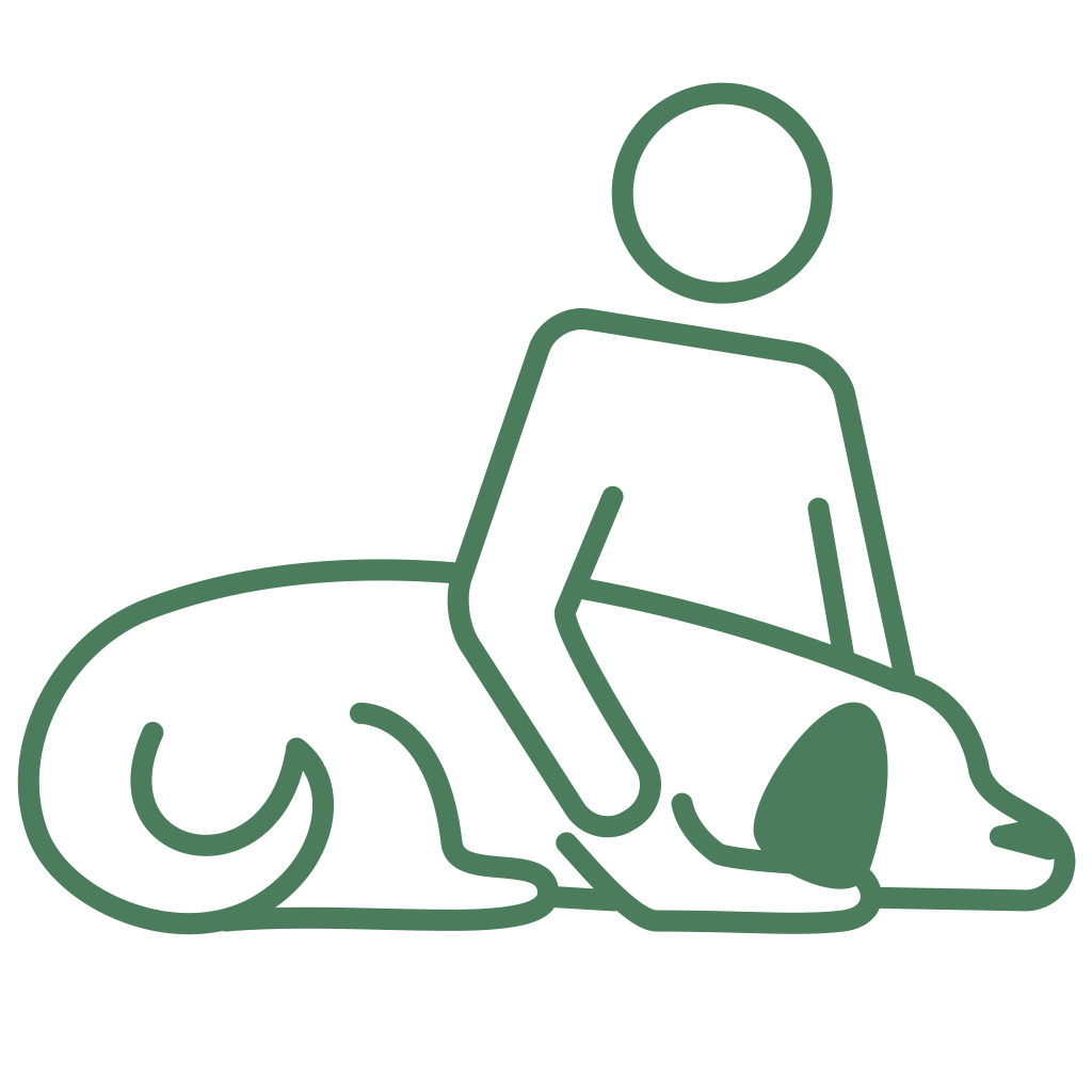 Icon of a person rubbing a dog that is laying down