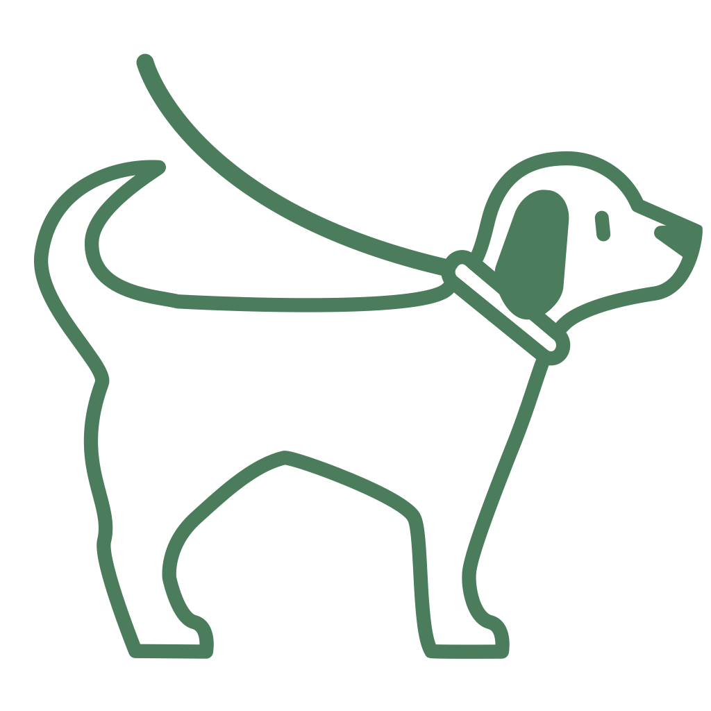 Icon of a dog standing with a leash around neck