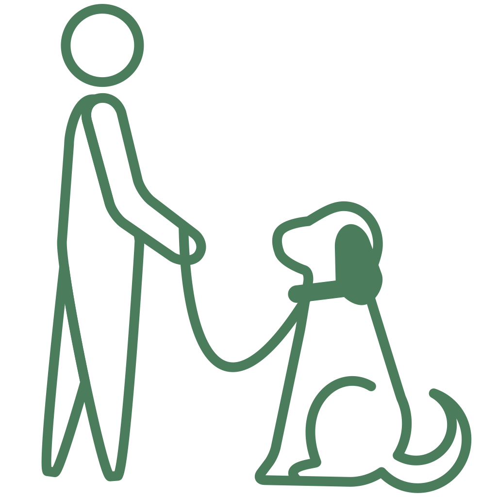 Icon of a person holding a leashed dog that is sitting